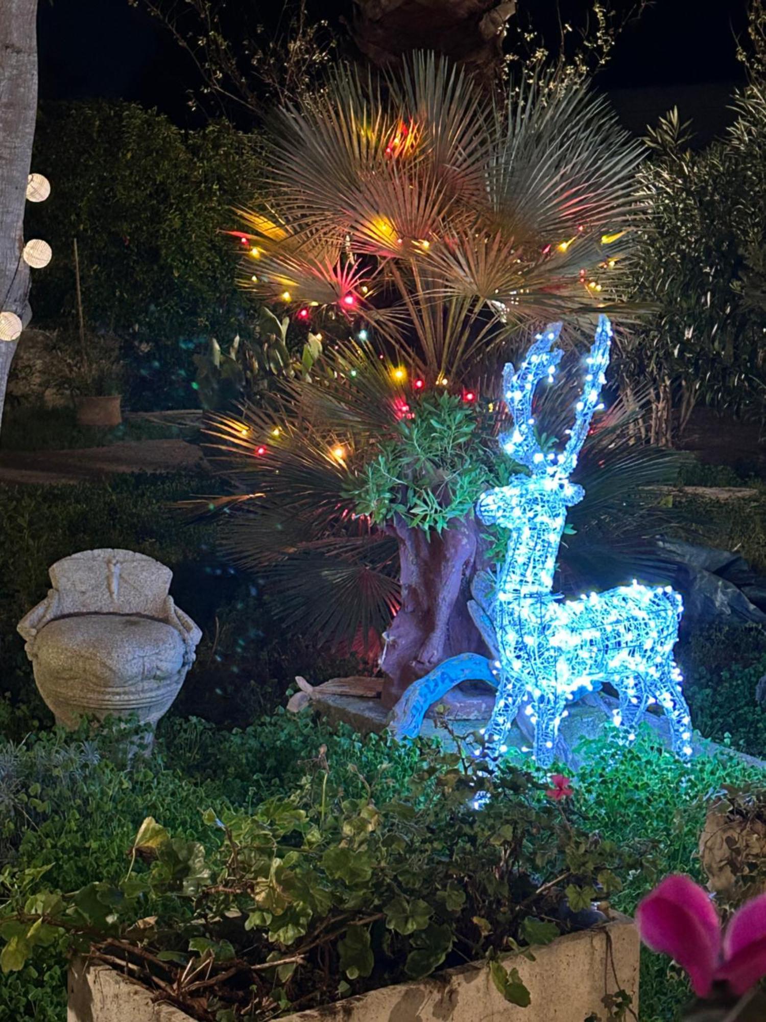 ברינדיזי Villa Anna Guesthouse מראה חיצוני תמונה